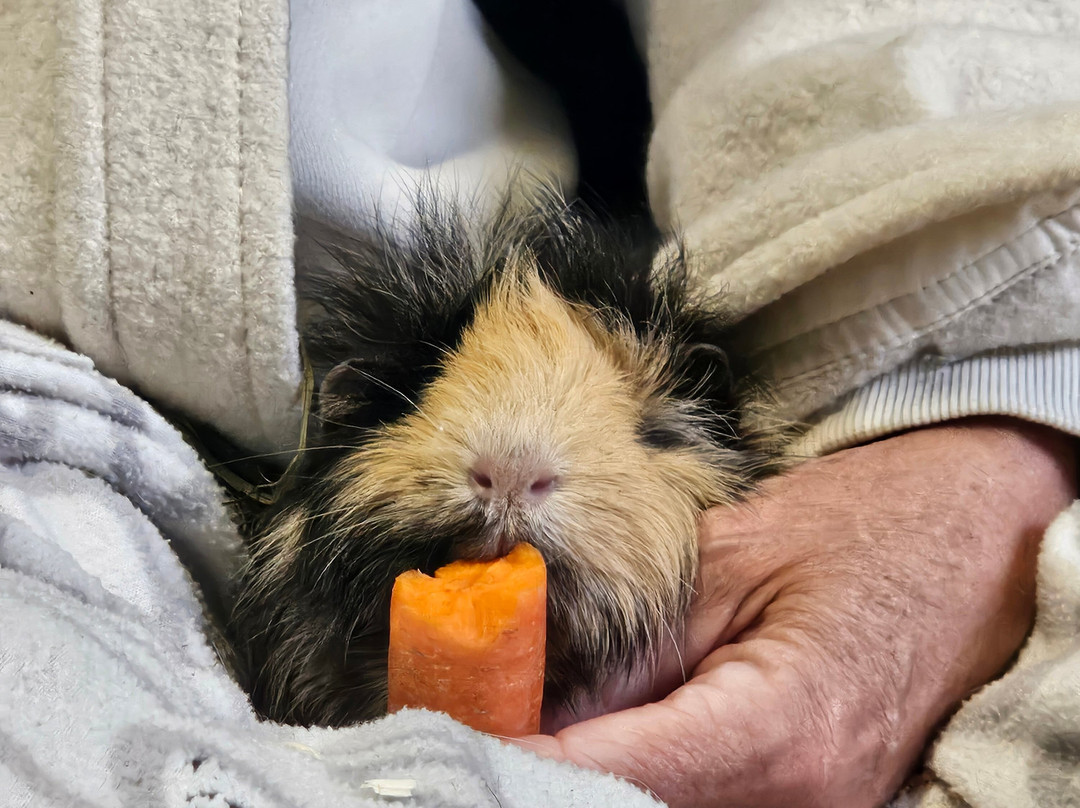 Farm Ventures-Roberts Creek必去景点