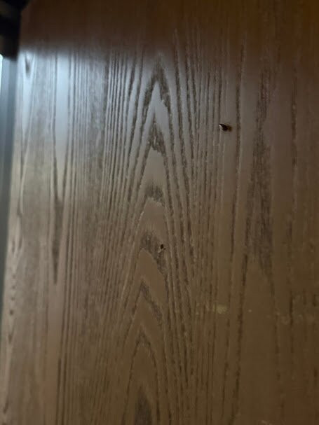 Super 8 by Wyndham Maysville KY主图