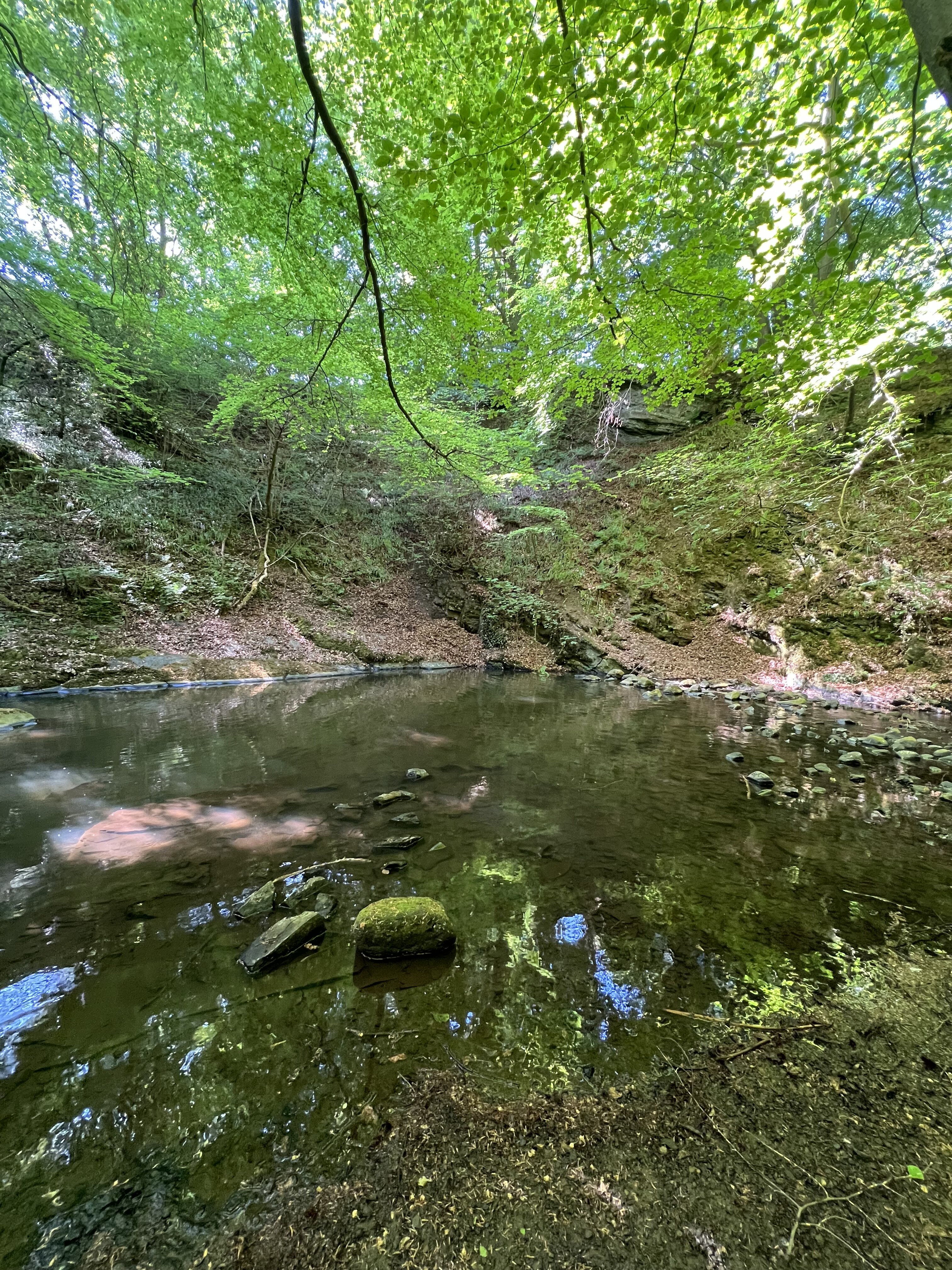 Craighall Steading-官方