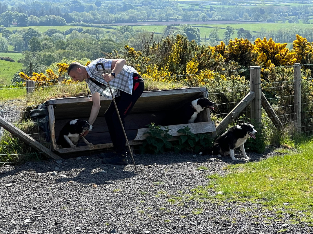 Glenshane Country Farm景点图片