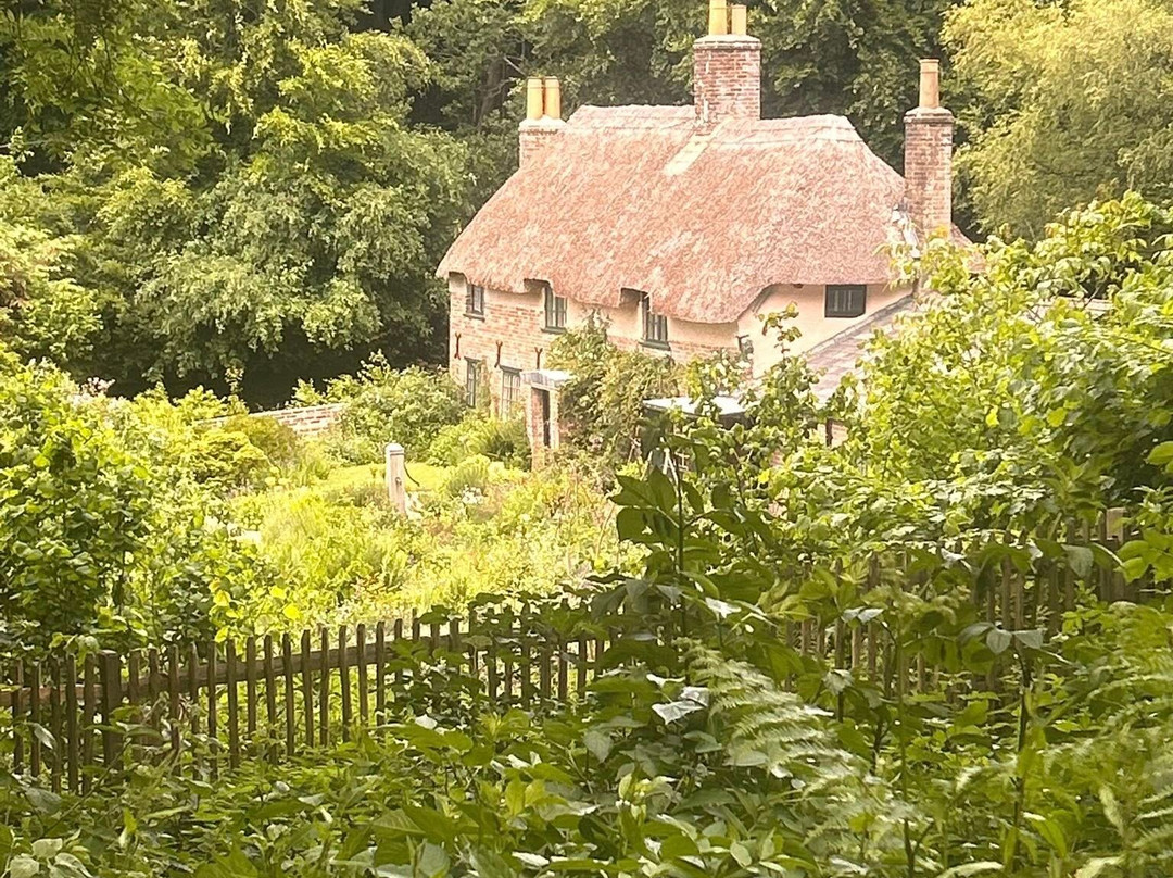 Thorncombe Woods Local Nature Reserve景点图片
