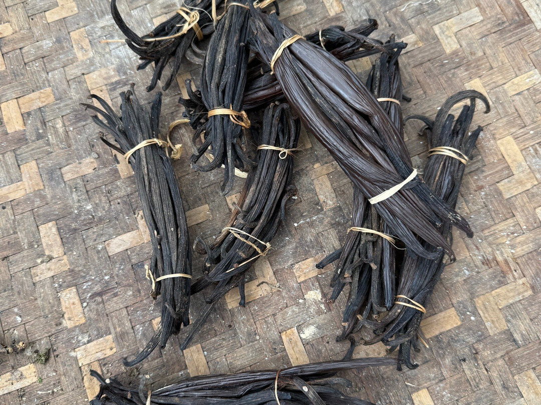 Star Rinjani-Bayan必去景点