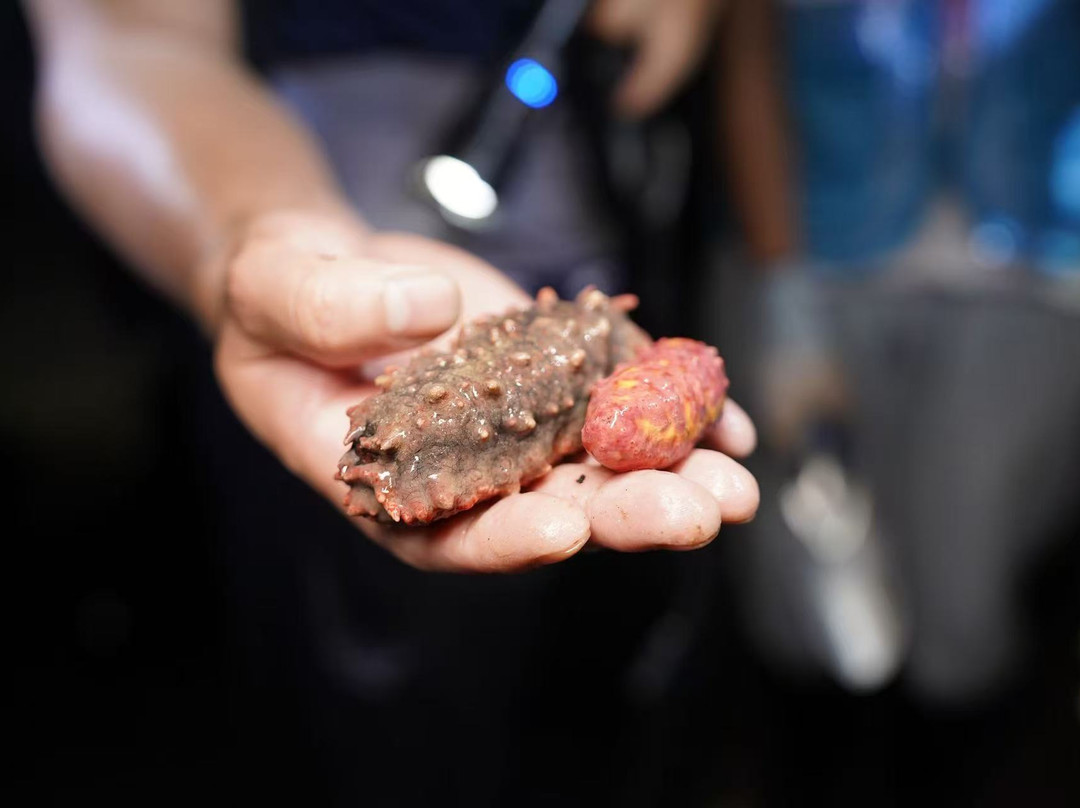 国际会议中心主图