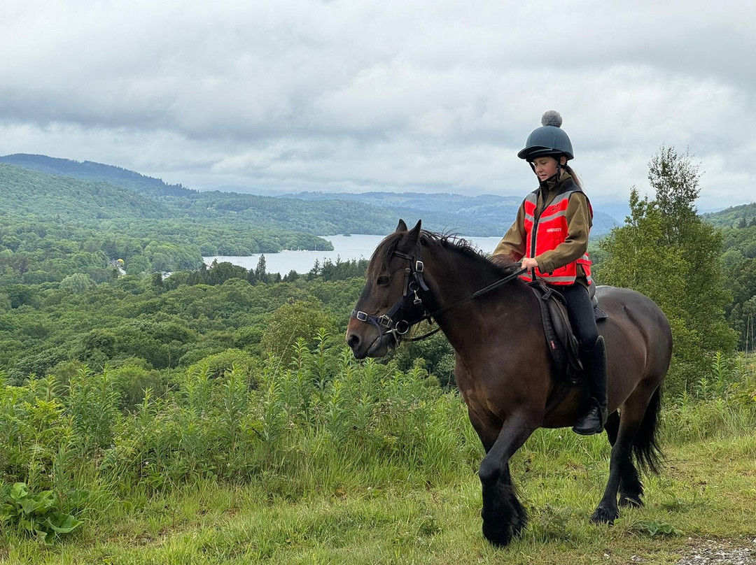 Fell Pony Adventures景点图片