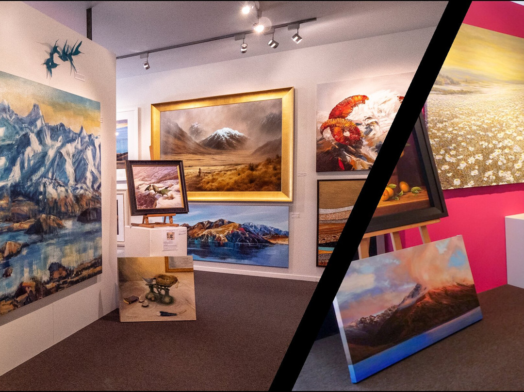 Wanaka Fine Art Gallery