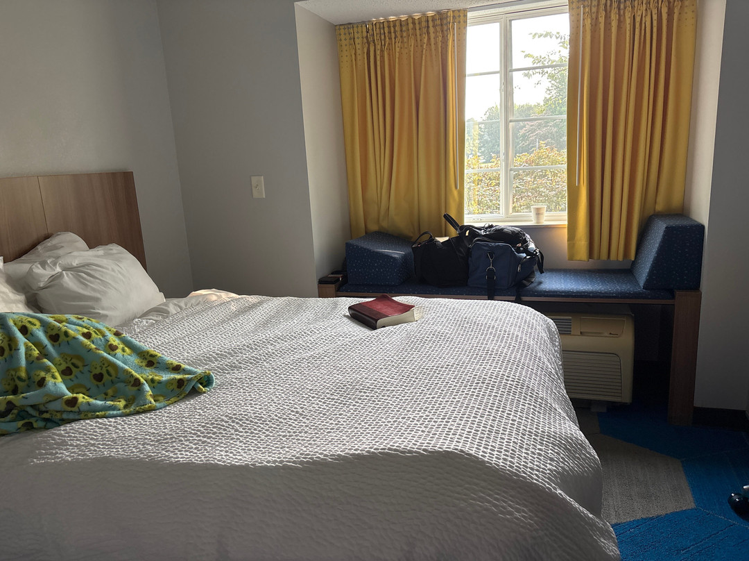 Microtel Inn & Suites by Wyndham Columbus North主图