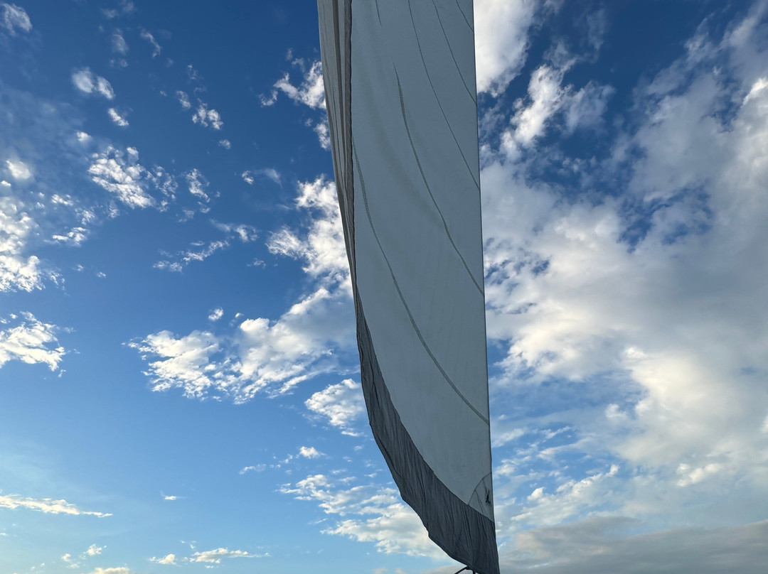 Paradise Catamarans-从莫雷洛斯港必去景点