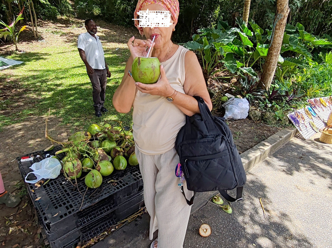 Cherry Tree Hill-巴巴多斯必去景点