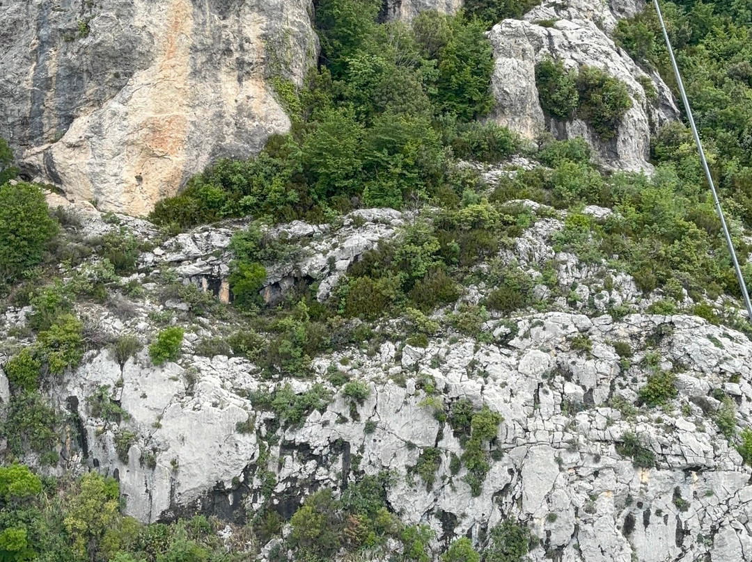 Dajti Ekspres Cable Car景点图片