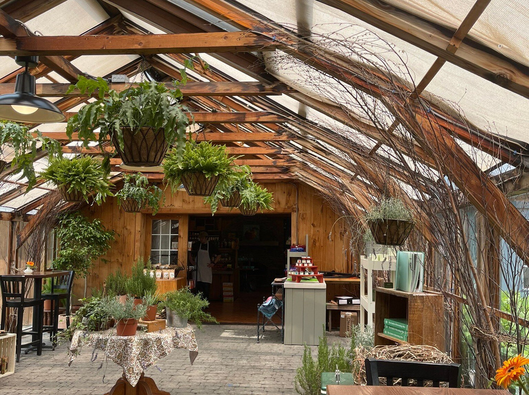 Sweet Berry Farm-米德尔敦必去景点