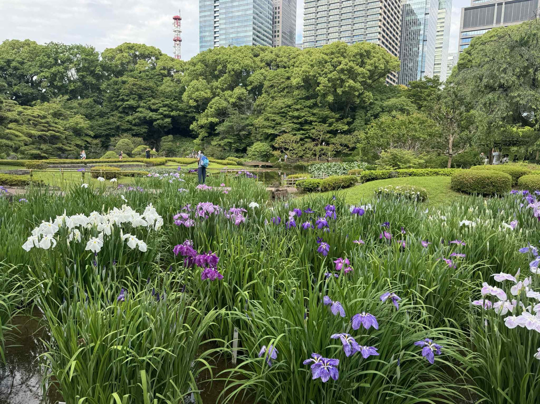 Tokyo Localized Free Walking Tour-Shinjuku 3 Chome必去景点