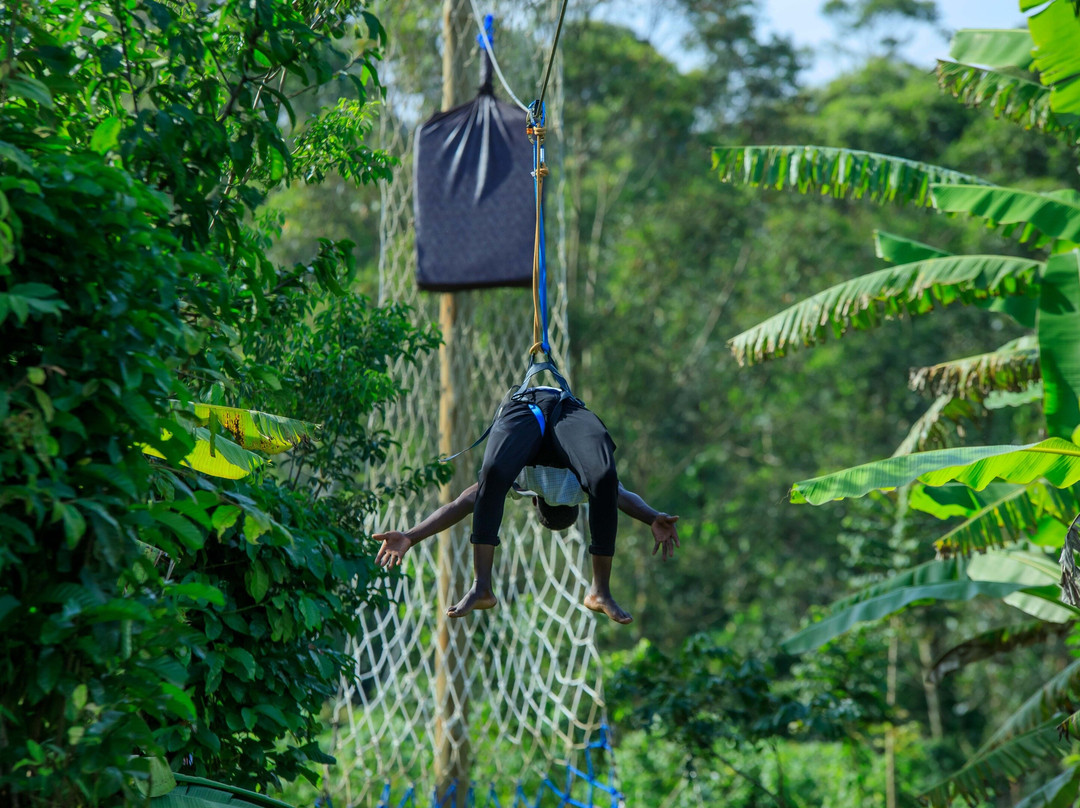 Off-the-Grid Birding + Camping for the Obsessed (Uganda)