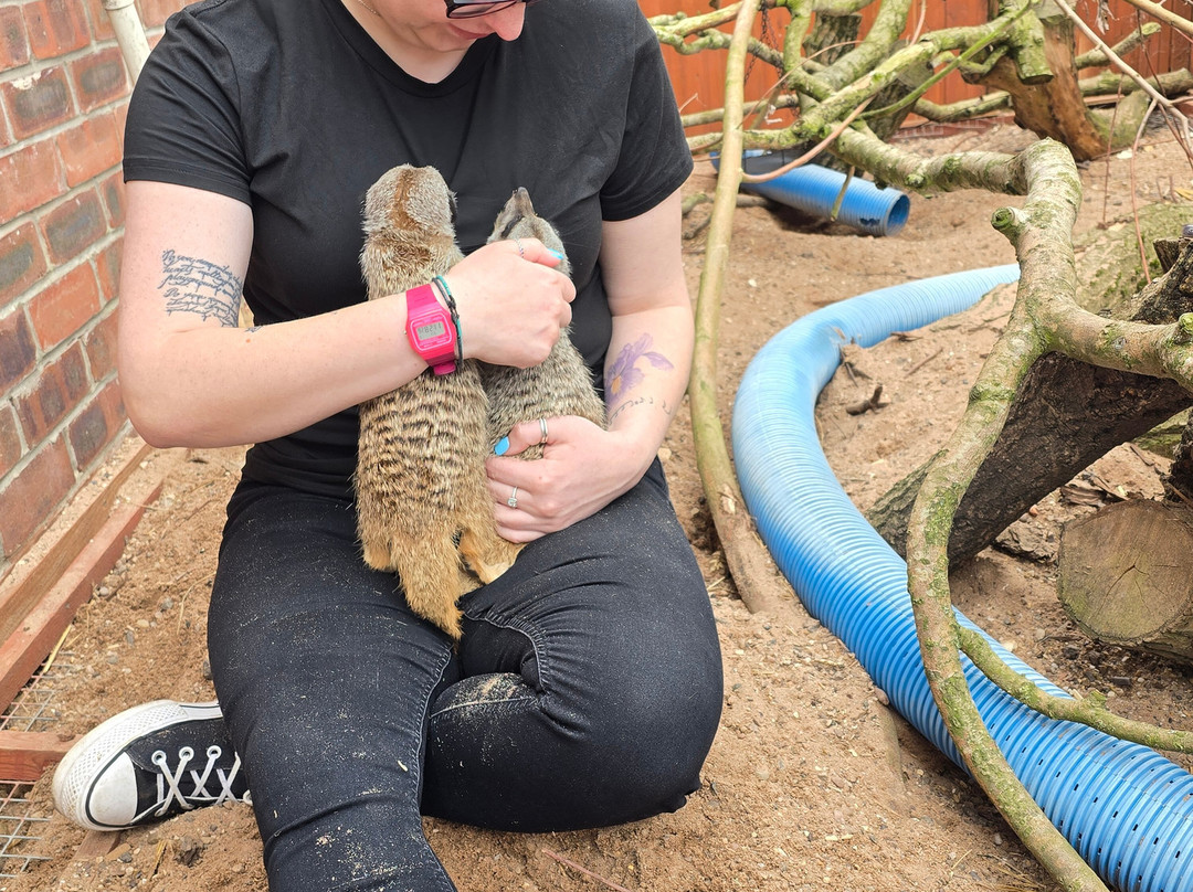 Ark Wildlife Park & Exotic Animal Sanctuary景点图片