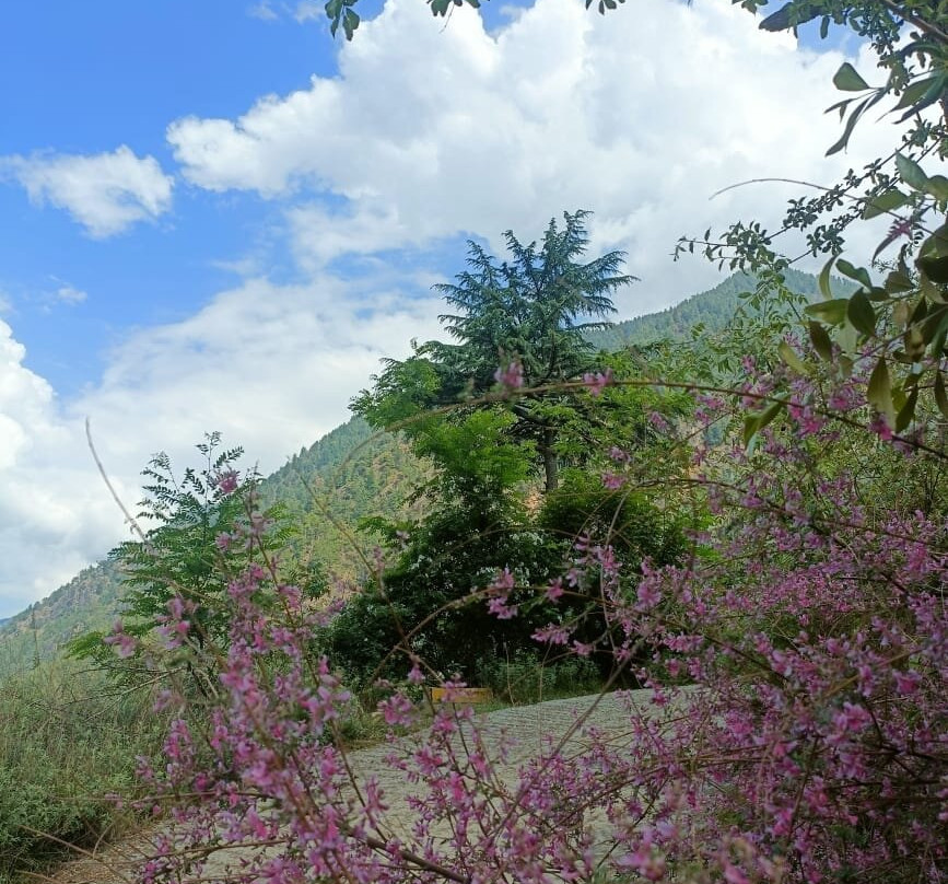 Le Wellbeing Resort