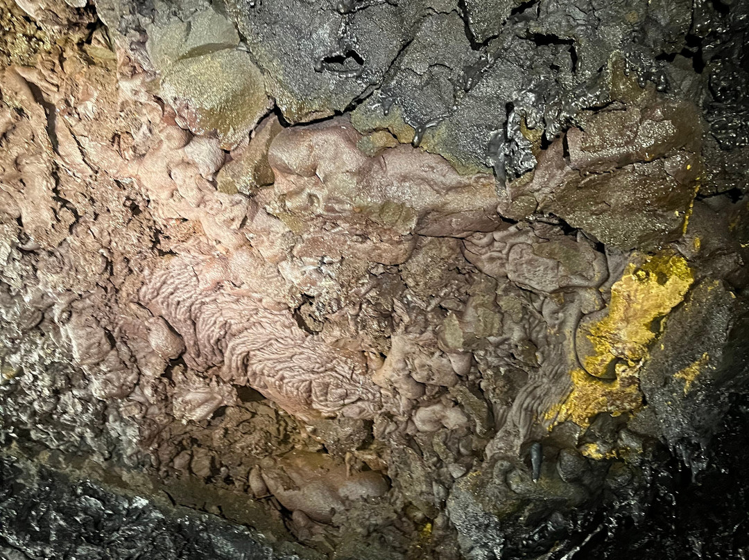 Tunnels de lave Réunion: Volcanorun景点图片