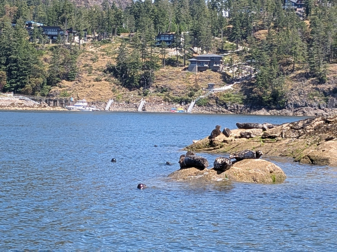SloCat Harbour Tours-马德拉公园镇必去景点