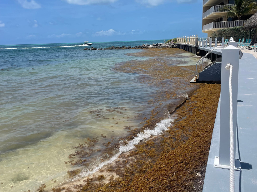 Continental Inn主图