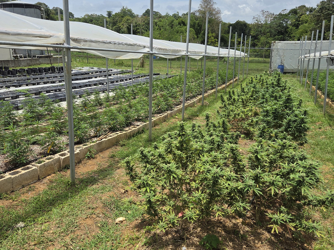 Jacana Farm Tours-奥乔里奥斯必去景点