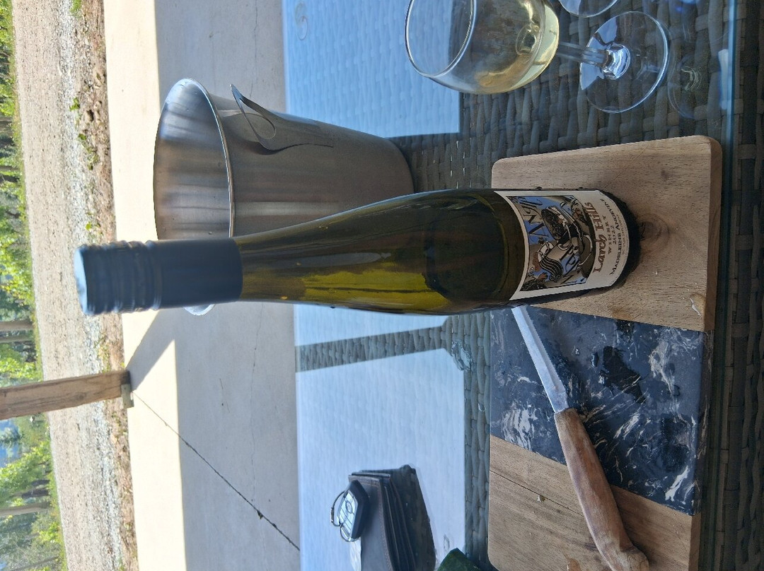Larch Hills Winery-萨蒙阿姆必去景点
