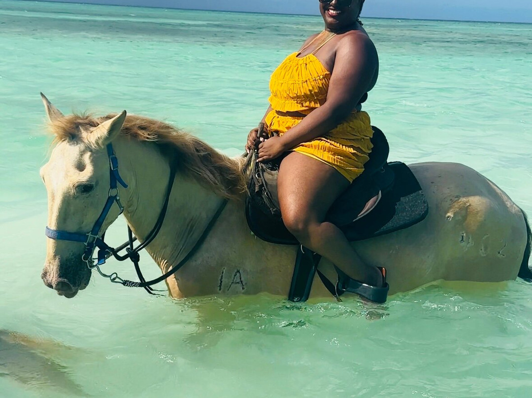 Unique Tours and Rentals-普罗维登西亚莱斯必去景点