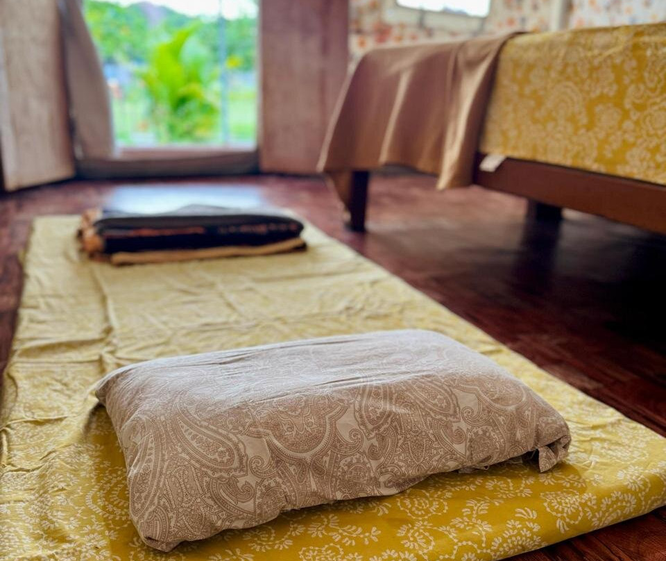 Murali Guesthouse Hampi主图