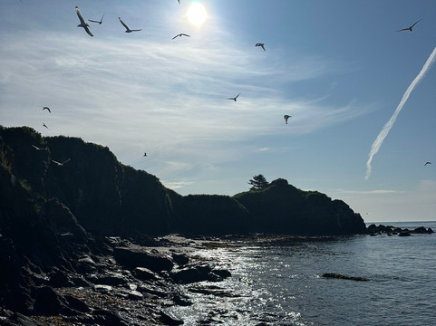 Kayak Kodiak LLC-Kodiak必去景点