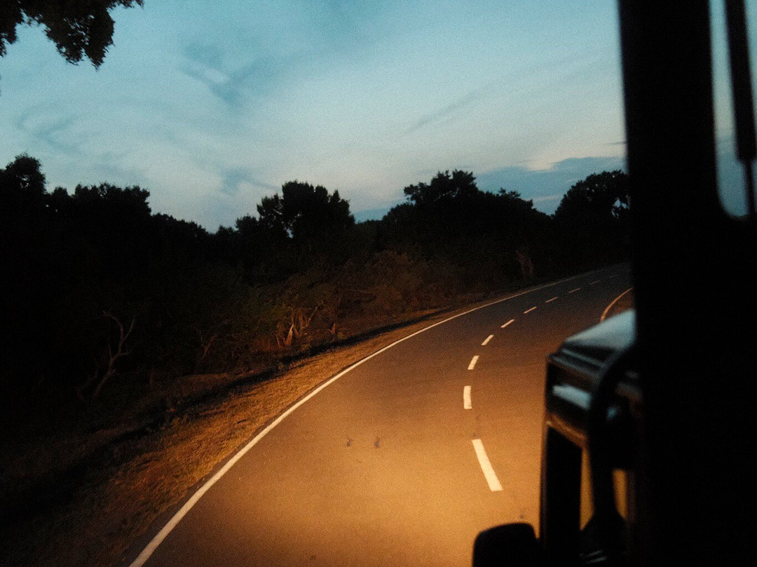 Ceylon Safari Tours-蒂瑟默哈拉默必去景点