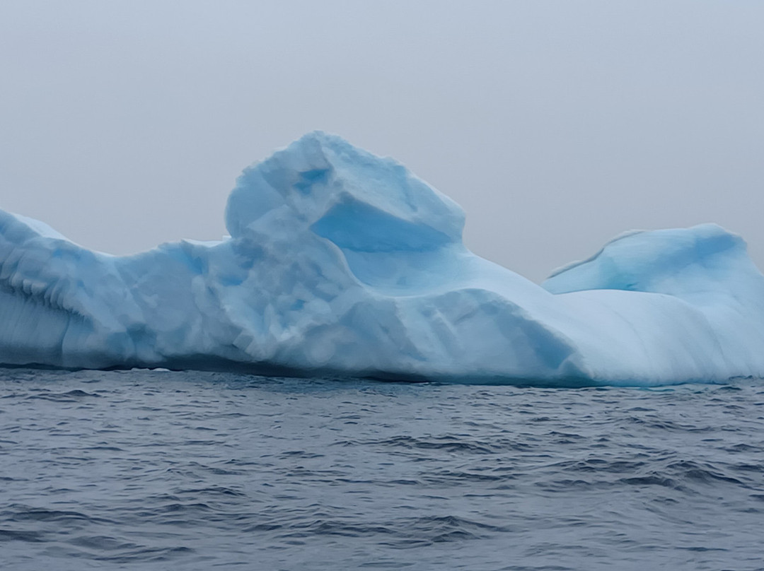 Daily Catch Ocean Tours-St Lunaire-Griquet必去景点