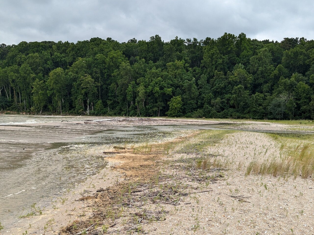 Flag Ponds Nature Park-Lusby必去景点