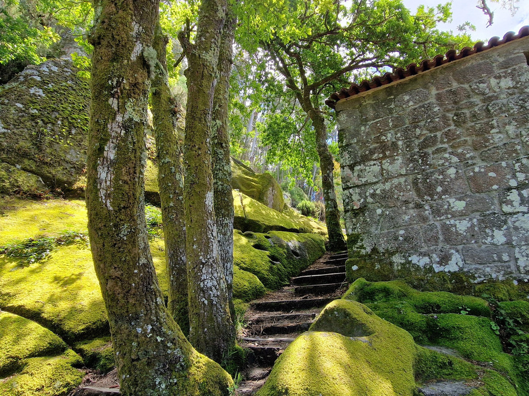 Monasterio de San Pedro de Rocas-Esgos必去景点