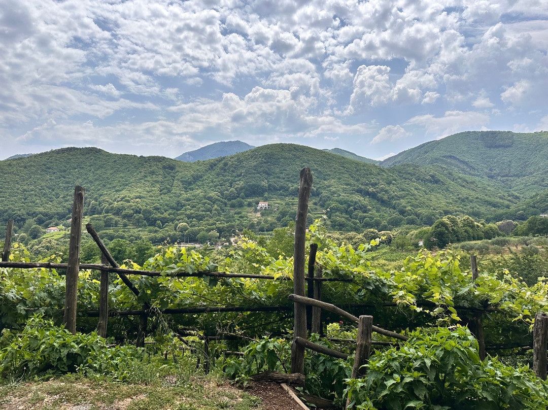 Tenuta San Francesco-Tramonti必去景点