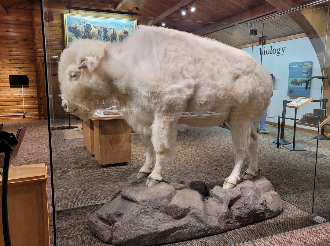 North American Bison Discovery Center-Jamestown必去景点