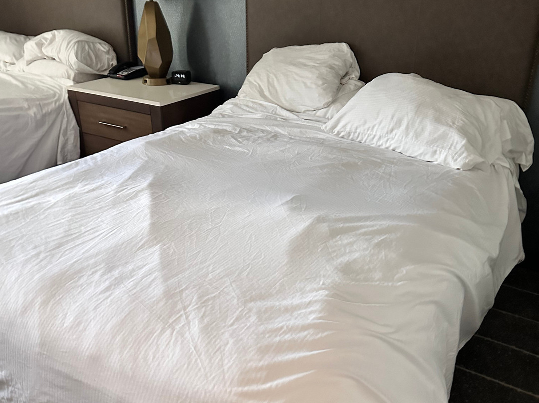 Embassy Suites by Hilton Wilmington Riverfront主图