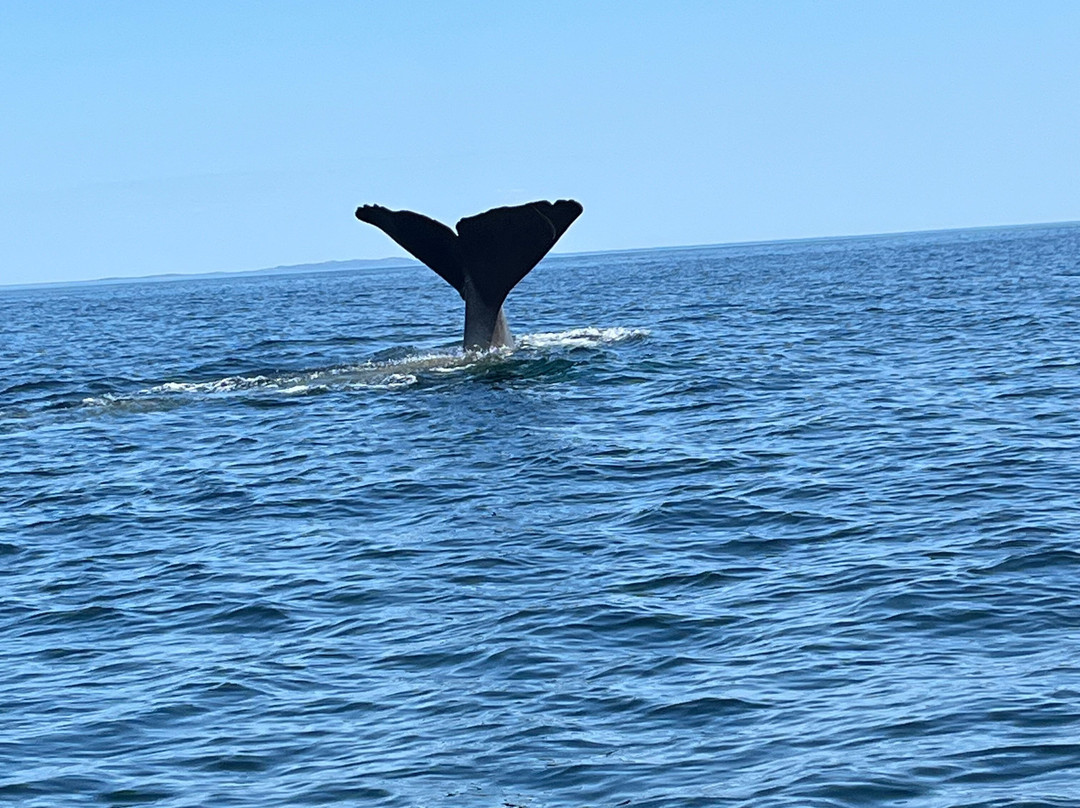 Trinity Eco-Tours and Lodge主图