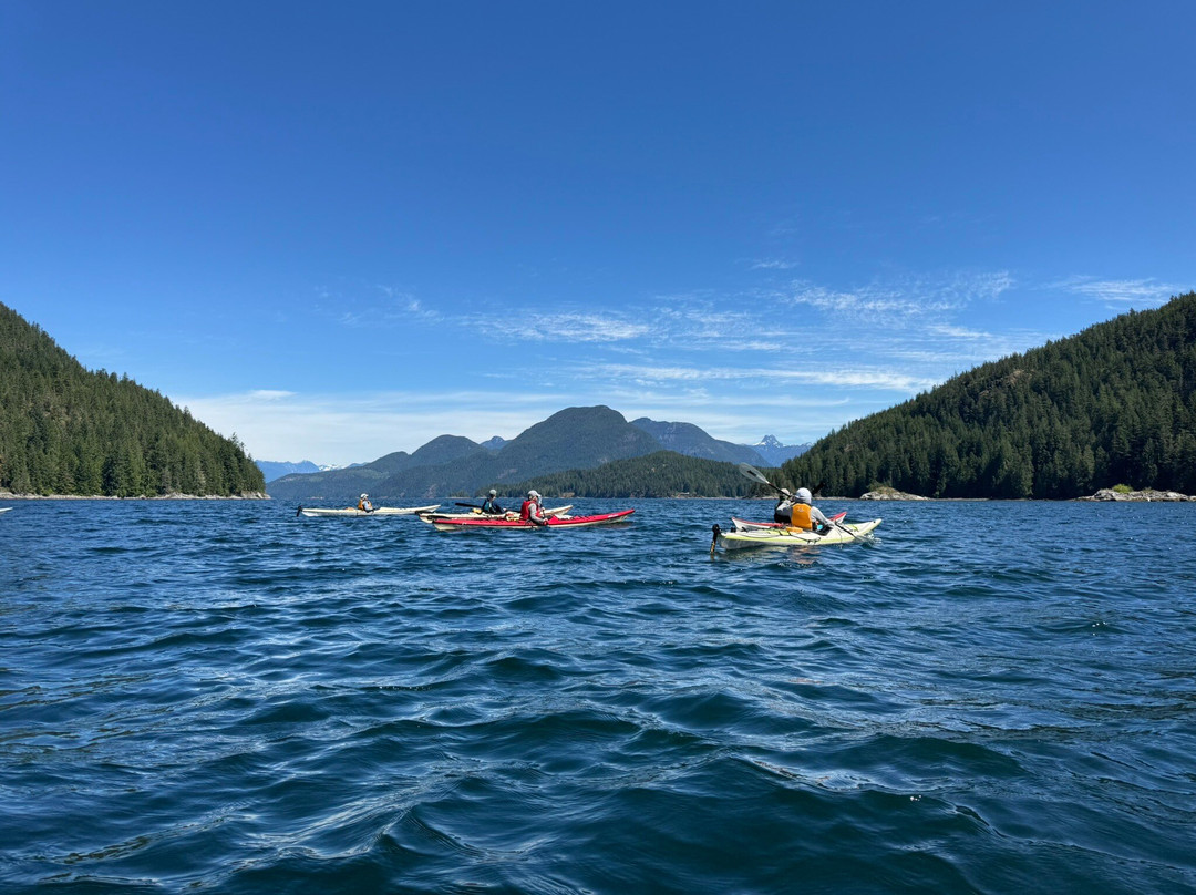 Coast Mountain Expeditions-Surge Narrows必去景点