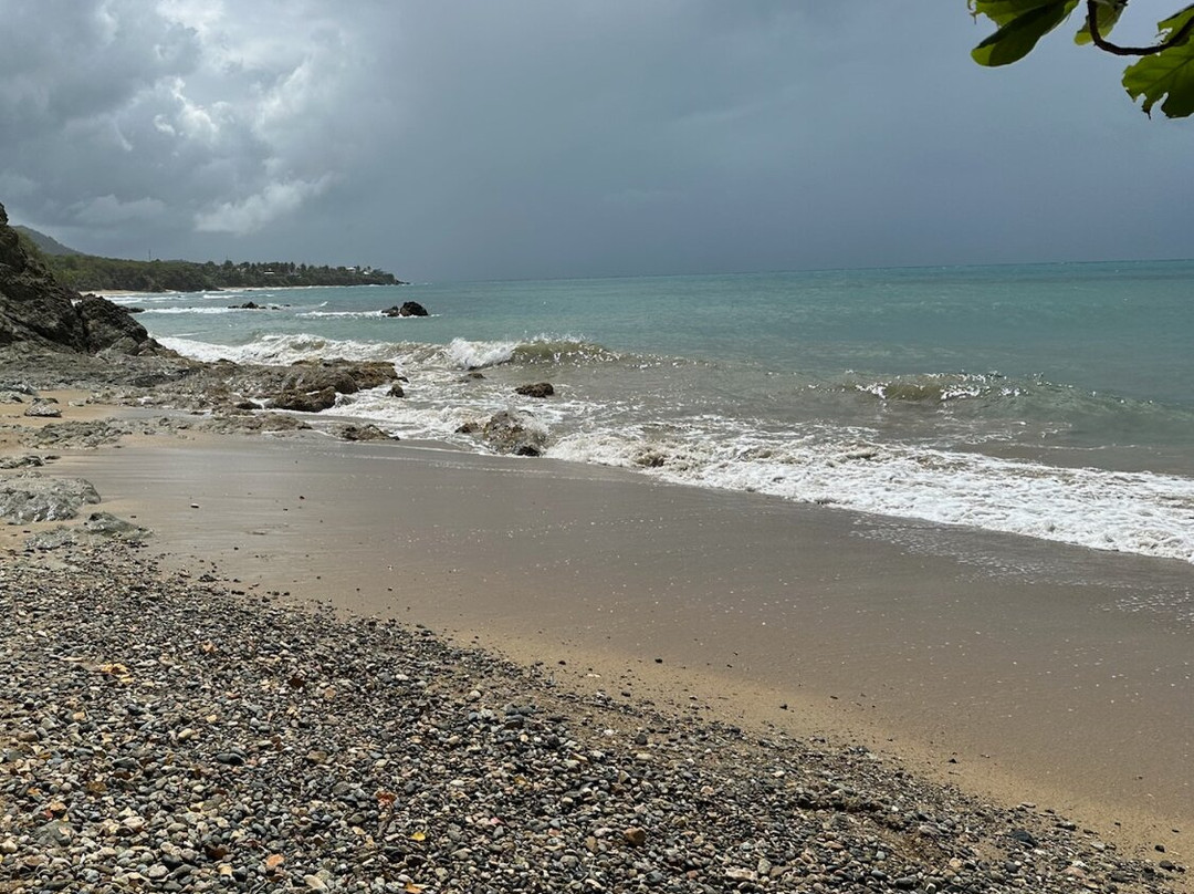 Vieques Island-维切克岛必去景点