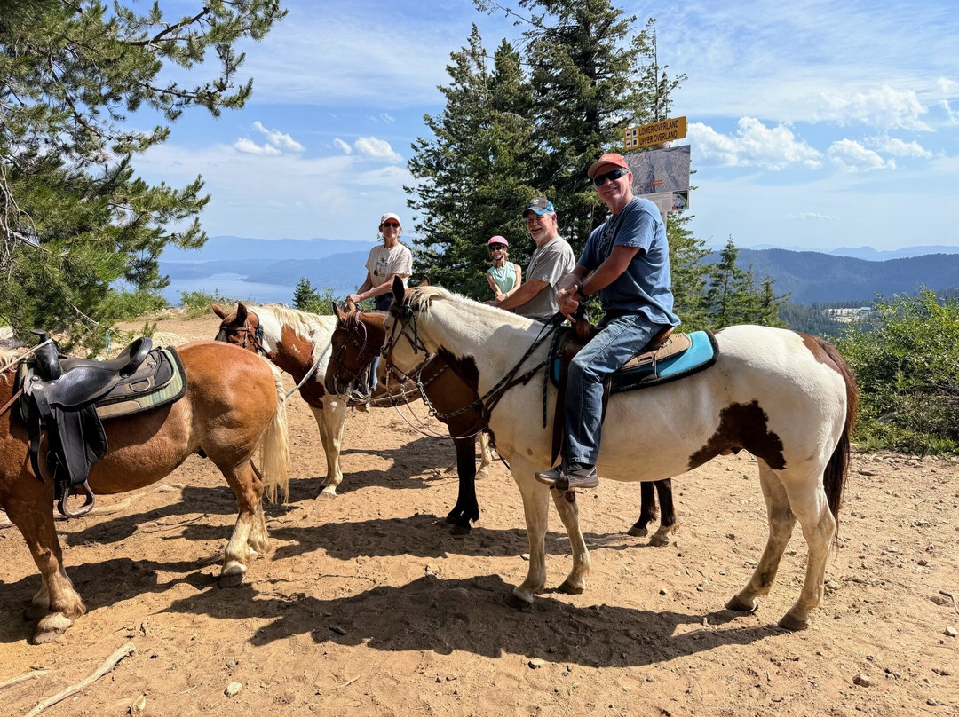 Mountain Horse Adventures-桑德波因特必去景点