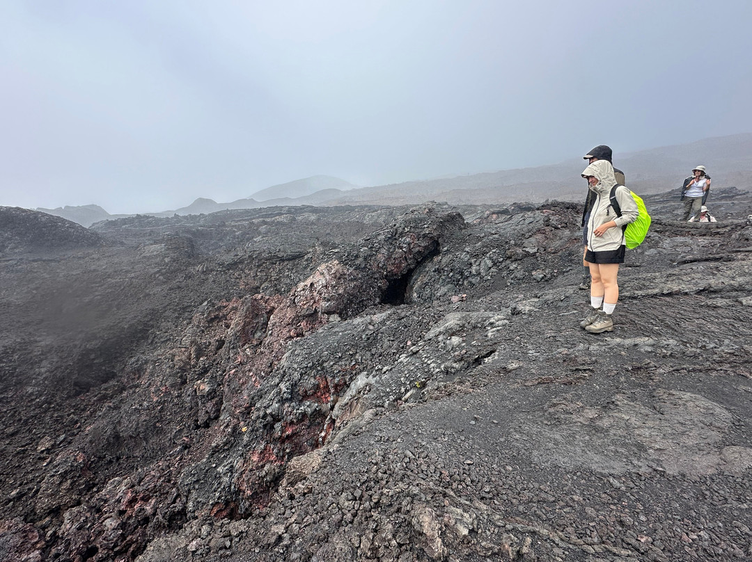 Real Dreams Tour-基多必去景点