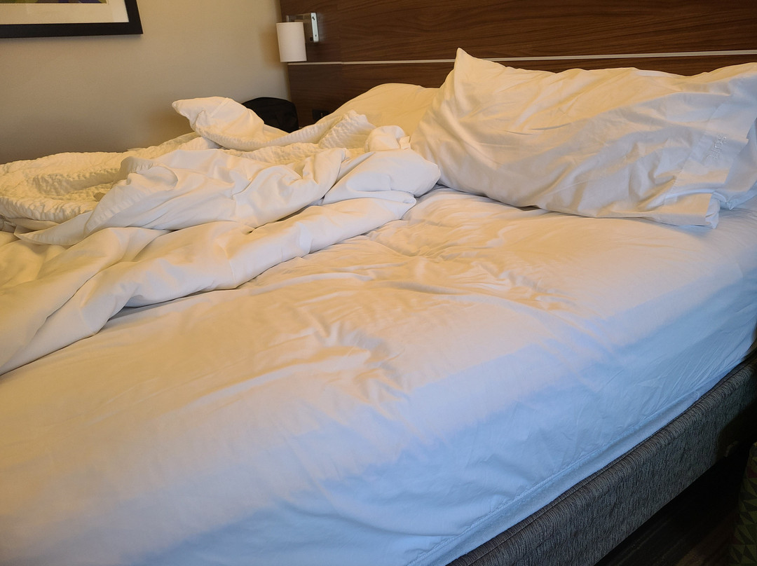 Holiday Inn Express & Suites Gunnison by IHG主图