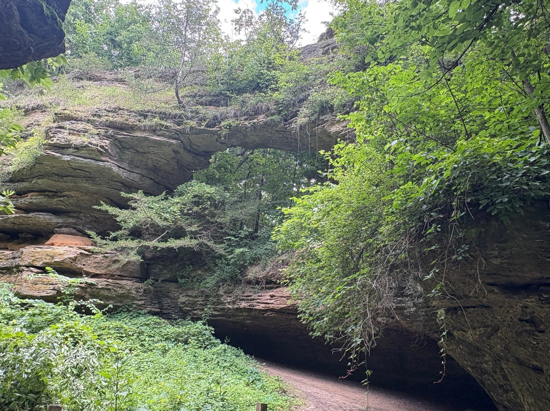 Natural Bridge State Park-Leland必去景点