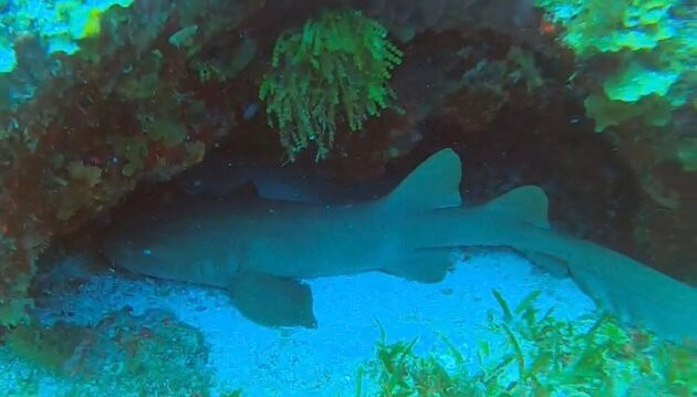 Serial Divers-居斯塔维亚必去景点