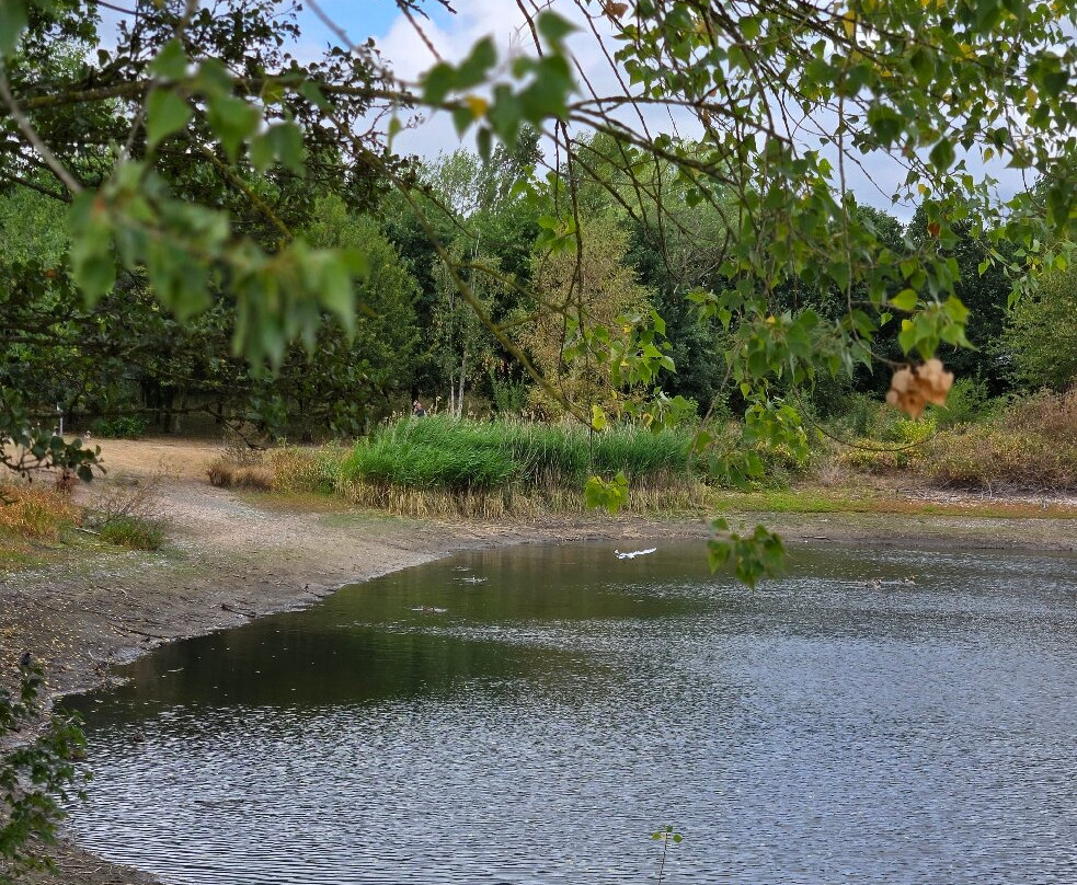 Barton Marina-Barton under Needwood必去景点