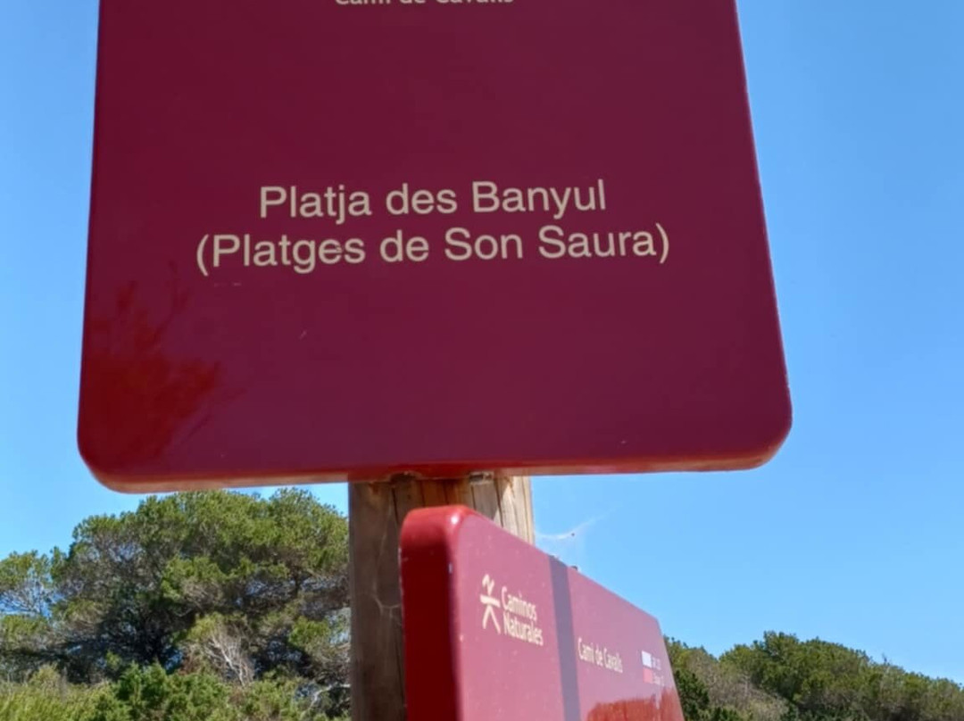 Platges de Son Saura-休达德亚必去景点