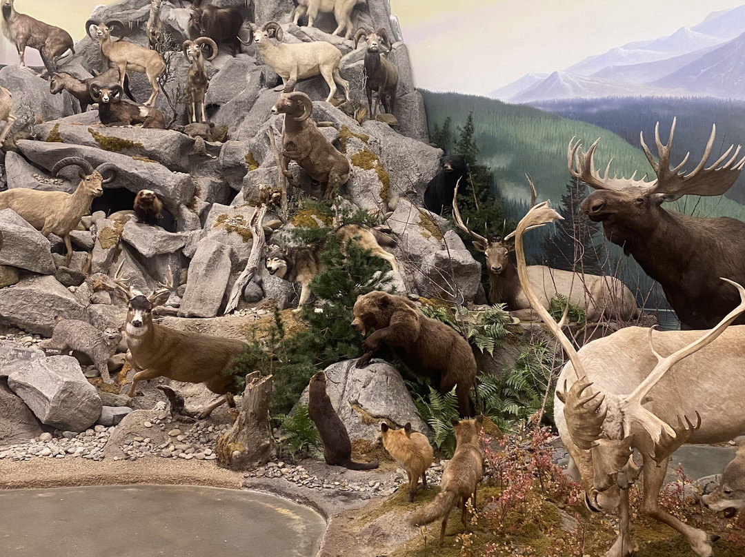 Northeastern Nevada Museum-埃尔科必去景点