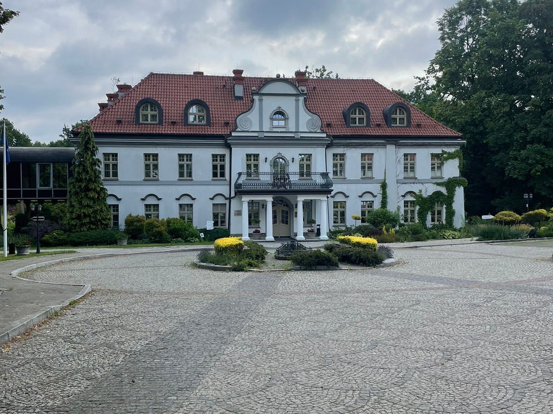 Palac Czarny Las主图