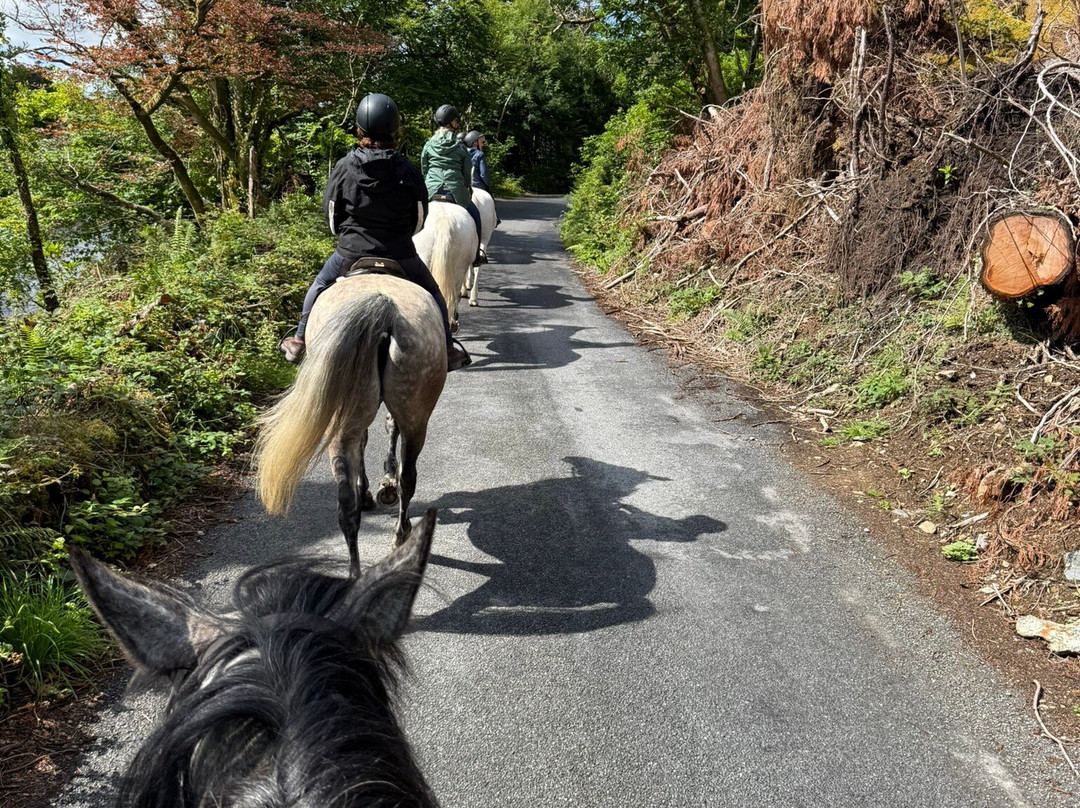 Connemara Equestrian Escapes-Moycullen必去景点