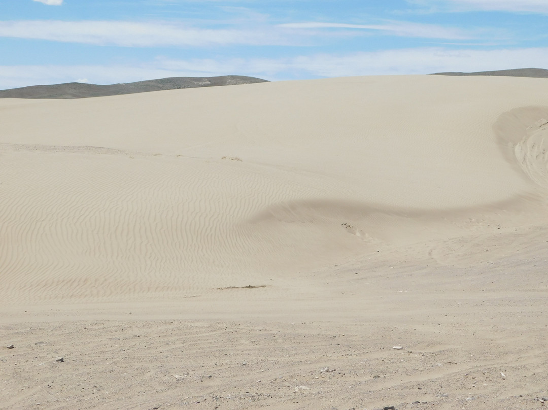 Winnemucca Sand Dunes-温尼马卡必去景点