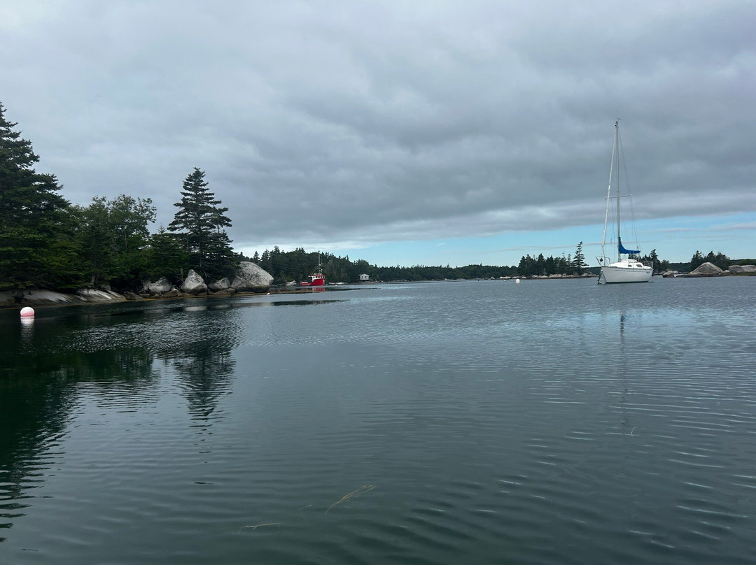 East Coast Outfitters Sea Kayaking-哈利法克斯必去景点