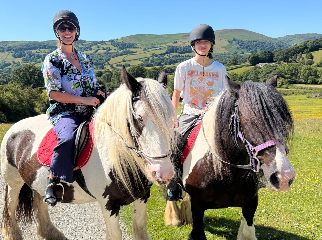 Pony Trekking by Lion Royal Hotel-Rhayader必去景点