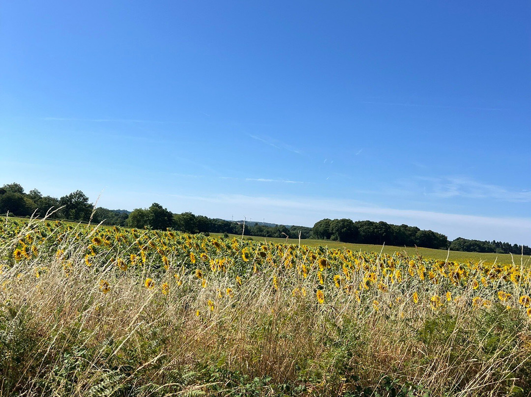 瓦艾尔地区酒店主图